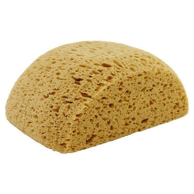 DTA SPONGE TURTLE BACK